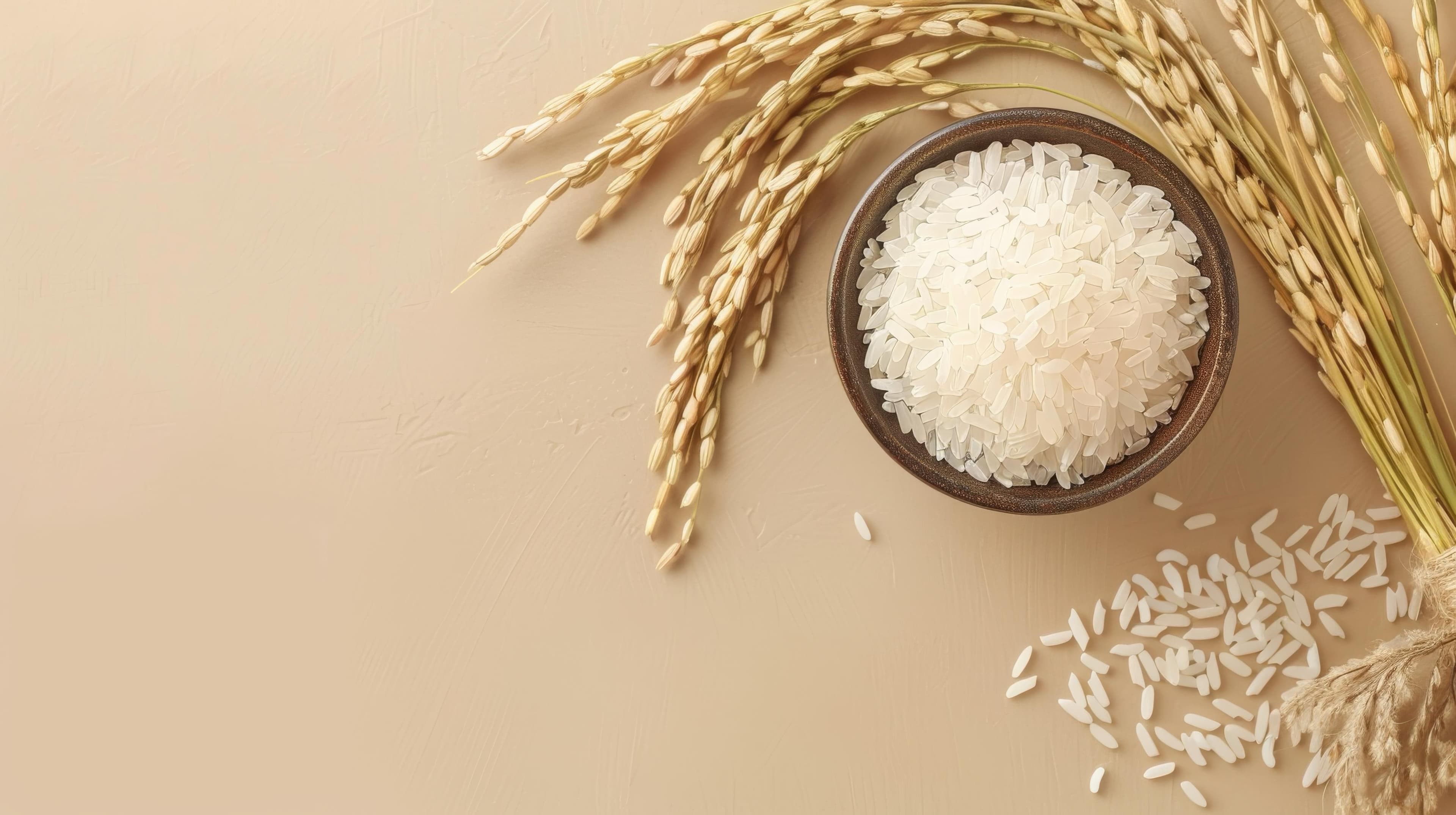 INDIAN WHITE RICE